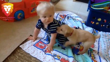 Puppies and Babies Playing Together Compilation