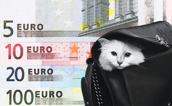 Que devient la chatte Choupette depuis la mort de Karl Lagerfeld