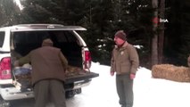 Karda aç kalan yaban hayvanları için ormana yem bırakıldı