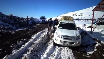 Emir Dağları'ndaki yılkı atları için 2 ton yem bırakıldı