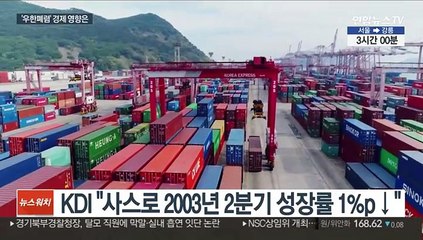 심상찮은 '우한 폐렴'…한국 경제 영향은