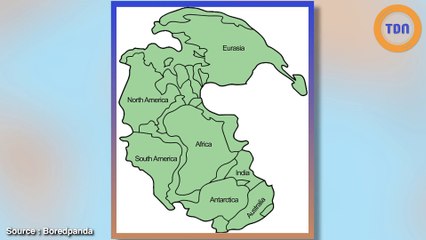 Voilà à quoi ressemblait le monde  il y a des millions d'années !