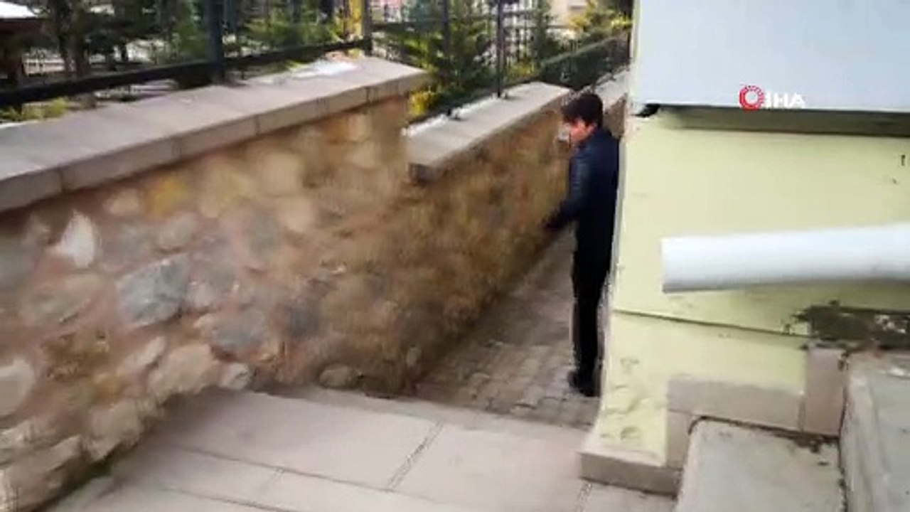 Köpekten korkan yavru kedi önce boruya, daha sonra tel örgüye çıkıştı