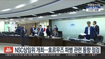 NSC상임위 개최…호르무즈 파병 관련 동향 점검
