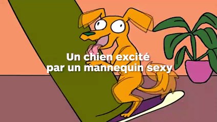 Un shooting avec un chien qui tourne mal