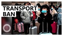 Wuhan suspends public transport amid virus outbreak