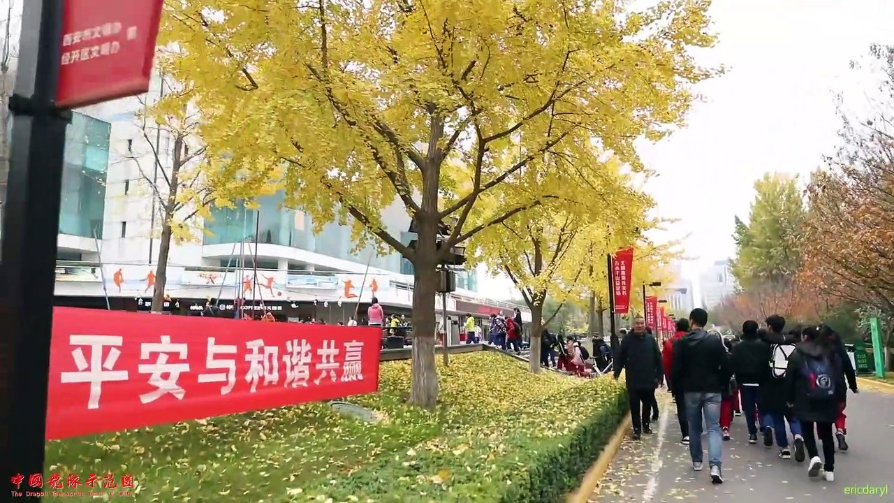 2017.11.18 龙拳小子日记 16：早安！西安！2017 中国跆拳道公开赛 自创品势 男子个人少年组 林秋楠 亚军 ( 1080 X 1080 )