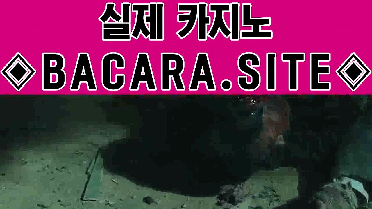 골든엠파이어카지노새로운카지노✅www.bacara.site✅스피드바카라후기|실전바카라|바카라스토리|바카라루틴골든엠파이어카지노