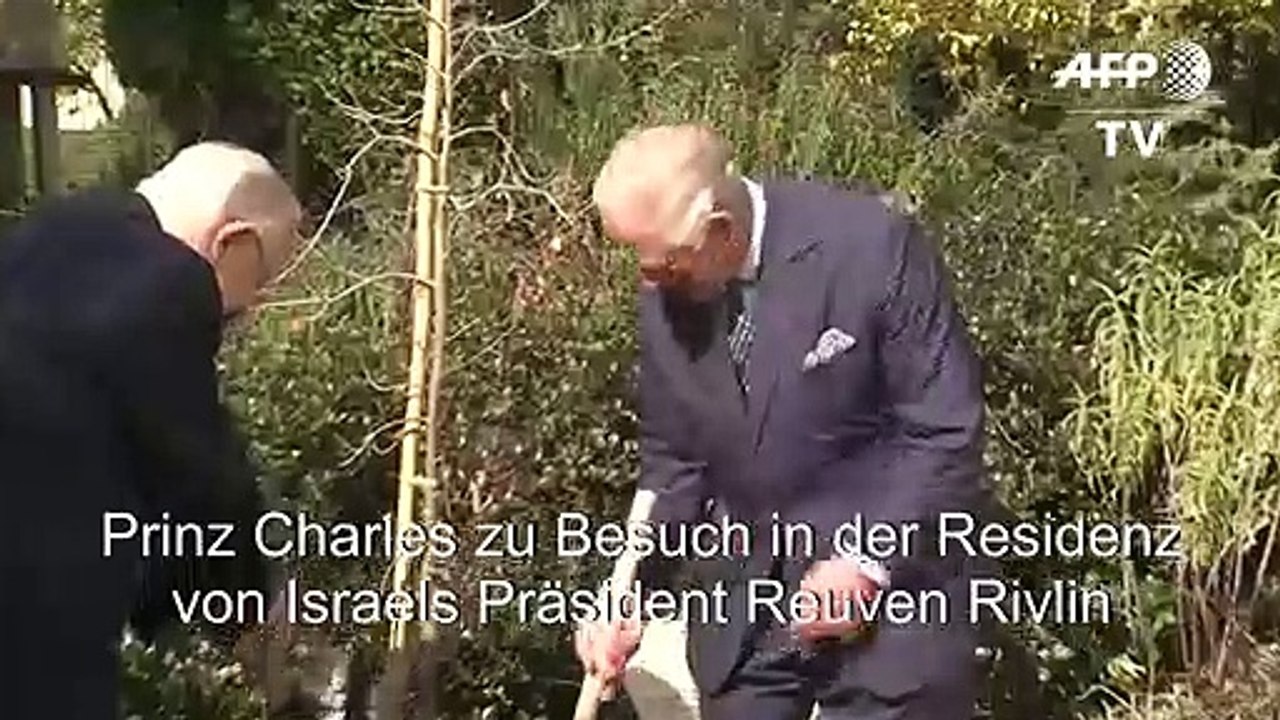 Prinz Charles pflanzt einen Baum in Israel