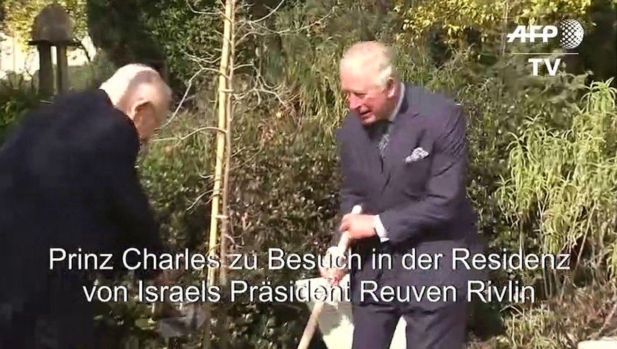 Prinz Charles pflanzt einen Baum in Israel