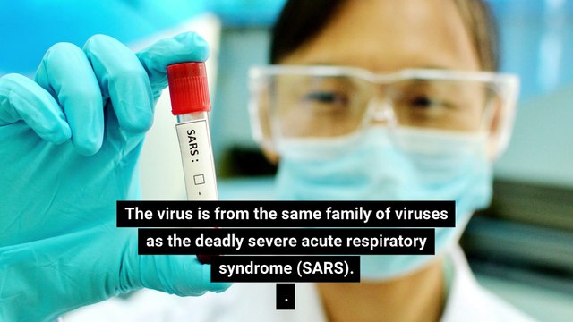 What is coronavirus? The SARS-like virus from China