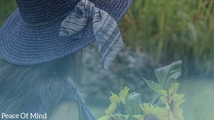 Heart Touching Thoughts In Hindi// Best Collection Of 'PEACE OF MIND'...