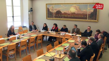 Zineb El Rhazoui: "l’AMIF comme instance représentative de ce qu’ils appellent l’islam de France va générer quelque chose d’ingérable"