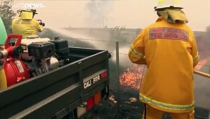 Feuer in Australien: Drei Tote beim Absturz eines Löschflugzeugs