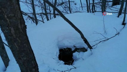 Bitlis’te terör örgütüne ait 8 sığınak ve 4 depo bulundu