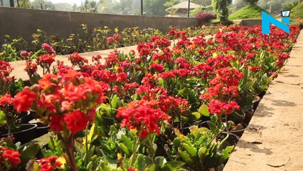 PM Modi’s vision transformed Kevadia’s free land into world class tourist destination