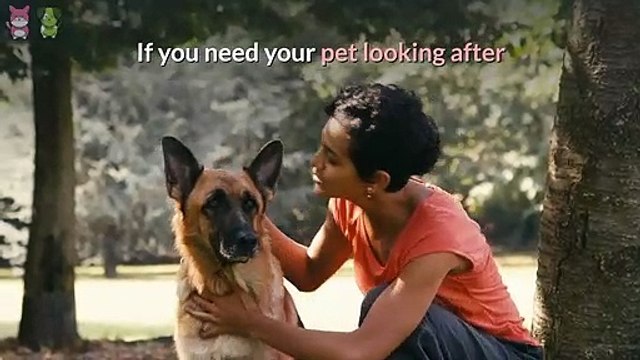 Animal Smart - Pet Care Services You Can Trust