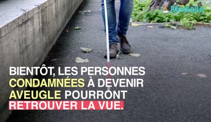 Lésions cardiaques, cécité... vous supplémenter en taurine pourrait vous en protéger !