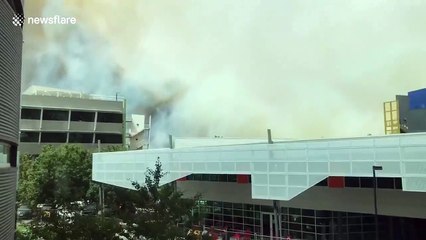 Officer worker films smoke from nearby bushfire blanketing sky in Canberra