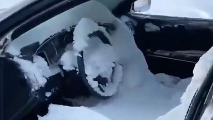 Shocking scene after car windows left down during snowstorm