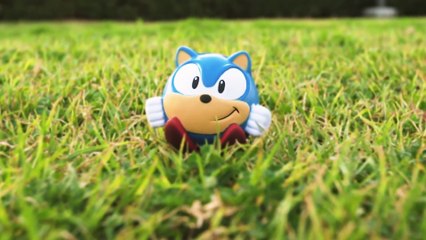 Blue Hedgehog Documentary: The Hunter & The Prey 🦔 - thumbnail