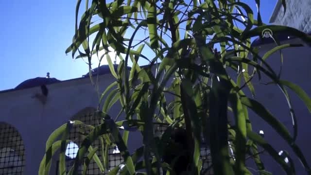 Suriye'deki El Bab Ulu Camisi yarın yeniden ibadete açılacak (2)