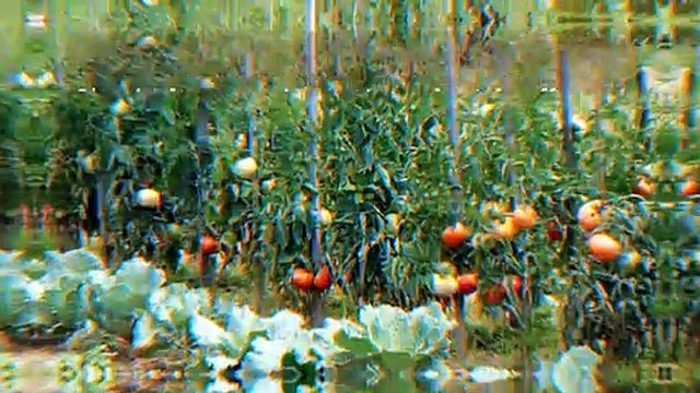 L'actualité Sciences de la semaine 23012020