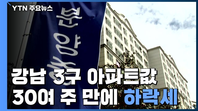 초강력 대책 약발 먹혔나?...강남 3구 아파트값 첫 하락 전환 / YTN