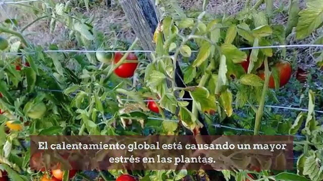 Noticias de ciencia de la semana 23012020