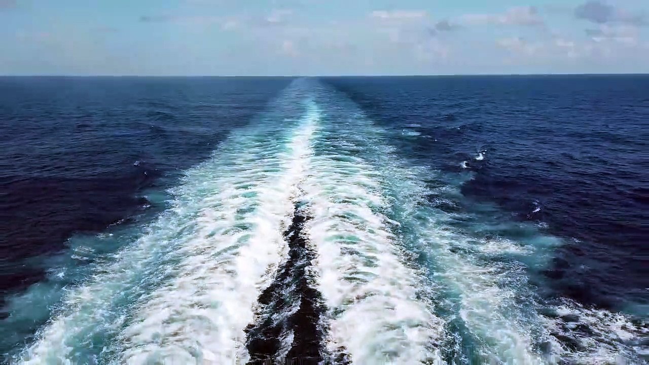 MUSIQUE ZEN ET NATURE BALEINES SOUS LE VENT / ZEN MUSIC AND NATURE WHALE IN THE WIND