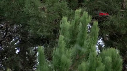 Kartal aydos'ta kısa süreli kar yağışı