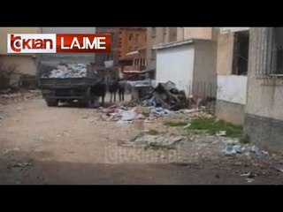 Pastrimi i plehrave të pallateve - (15 Prill 2000)