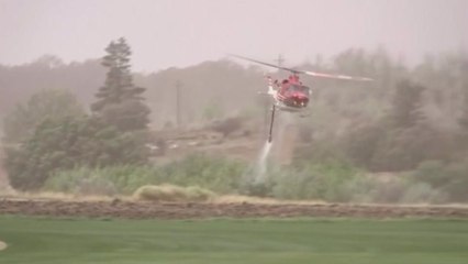 호주 산불로 수도 공항 중단...소방항공기 추락 美대원 3명 사망 / YTN