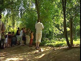 Tous les félins du monde