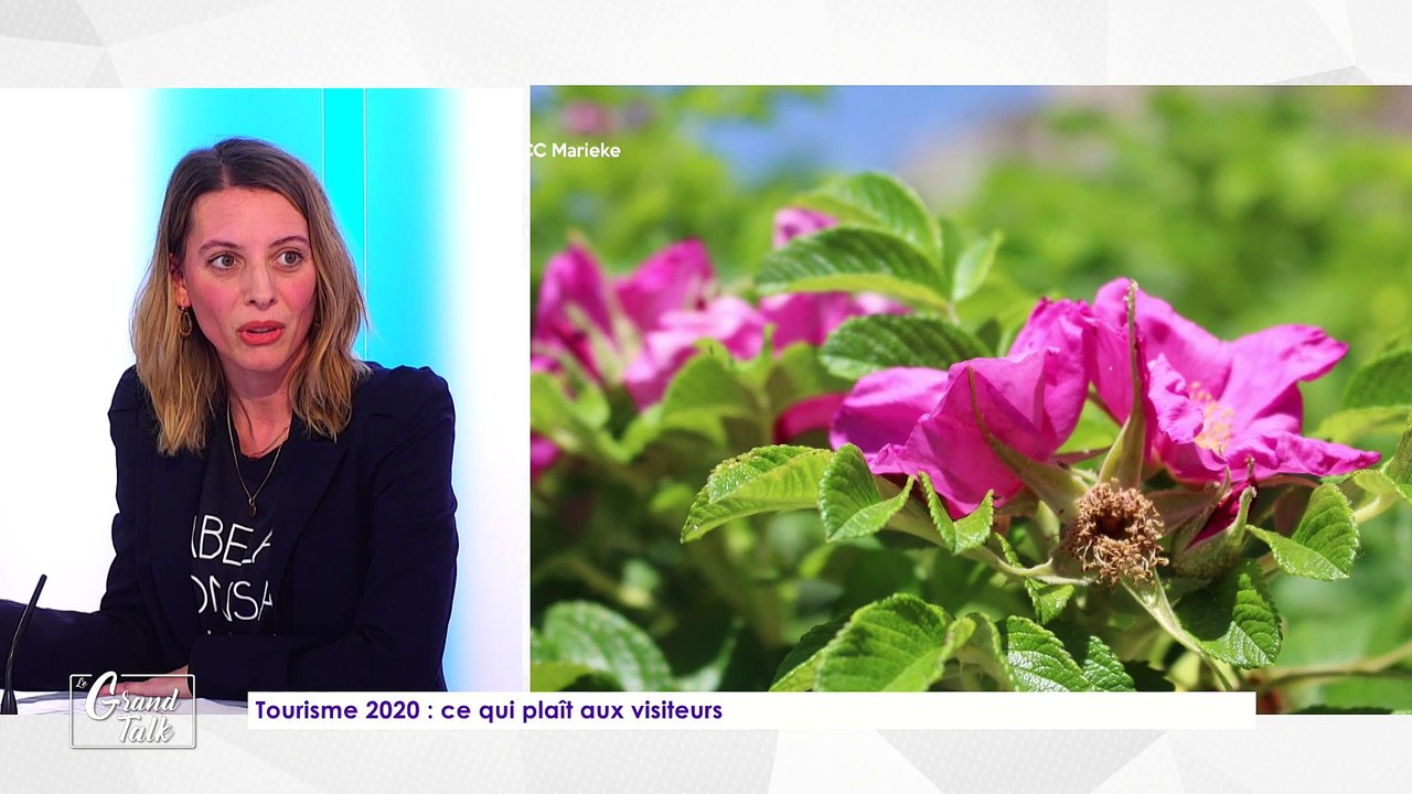 Le Grand Talk - 23/01/2020 Partie 3 - Tourisme 2020 : ce qui plait aux visiteurs