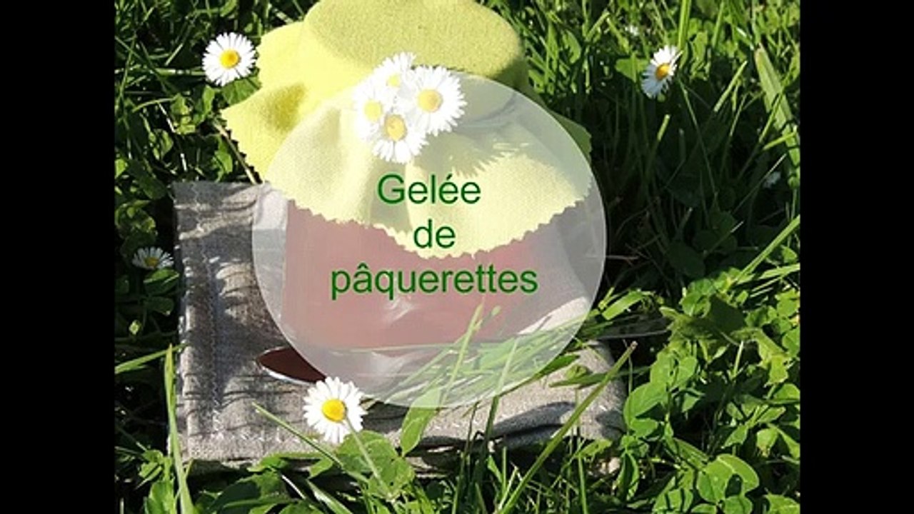 DIY n 13 - Gelee de paquerettes