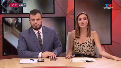 La previa de un asesinato: los rugbiers se grabaron dándose porrazos antes de ir a Le Brique