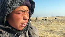 الجفاف والتغير المناخي يهددان رعاة المواشي الأفغان