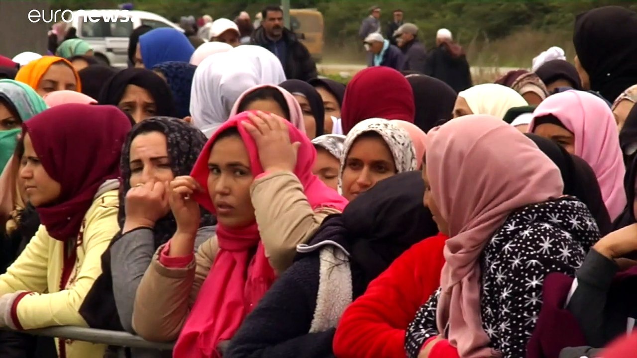 Händeringend gesucht: 6000 Erdbeerpflückerinnen für Spanien