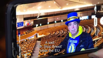 "Mr Stop Brexit" visits EU Parliament