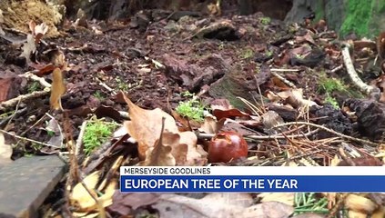 GOODLINES: 24th January 2020