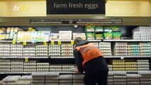 The Skinny on Hens That Lay Eggs You Buy at the Grocery Store