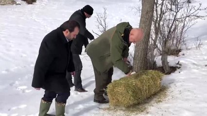 Toroslar'daki yaban hayvanlarına yem desteği