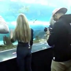 Quand une influenceuse va à l'aquarium.. LOL
