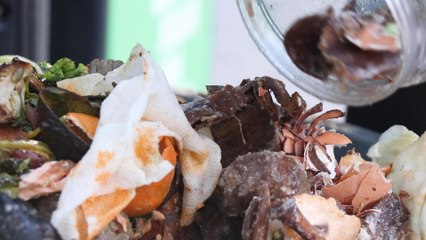 Composting Site In Manhattan Making City Greener