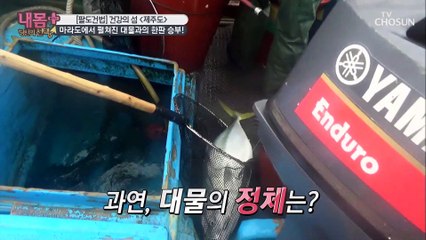 냉동 장기를 지키는 비결 ‘방어’ (단백질이 풍부)