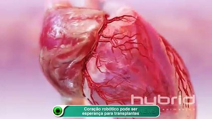 Coração robótico pode ser esperança para transplantes