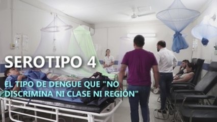 Serotipo 4, el tipo de dengue que "no discrimina ni clase ni región"