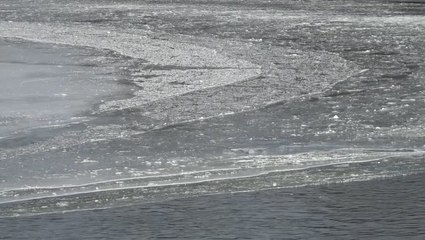 Celebrating another year with an ice disk