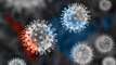 Coronavirus Update : Is Coronavirus in India and Kerala?? | Oneindia Telugu